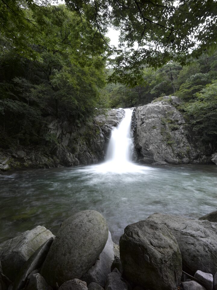정면에서 바라본 용추폭포의 여름
