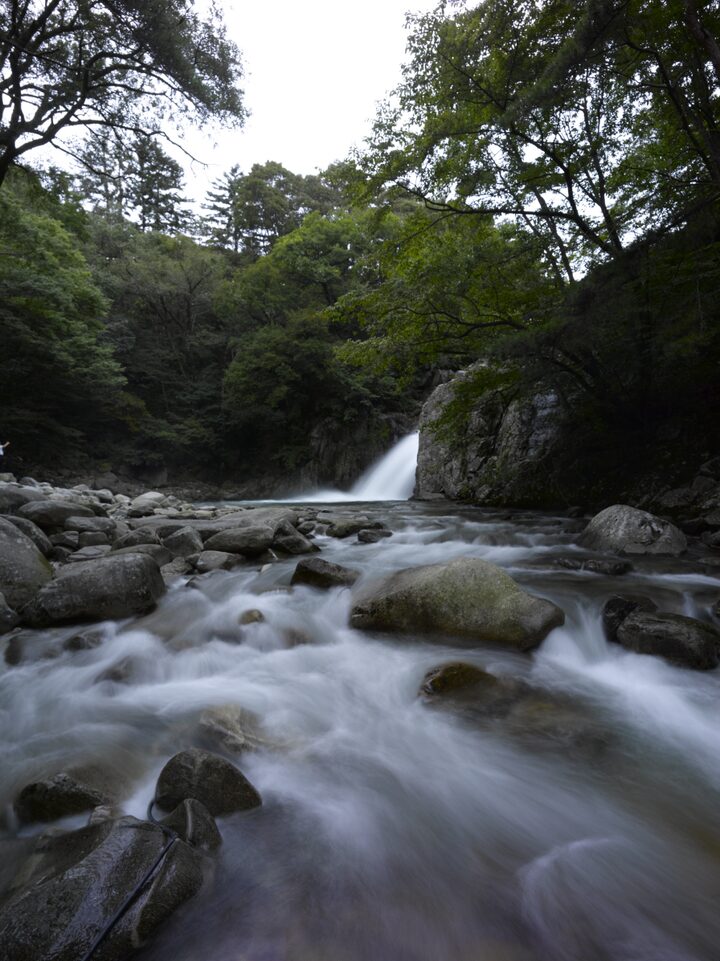 용추폭포 우측 개울 중간에서 바라본 용추폭포의 여름