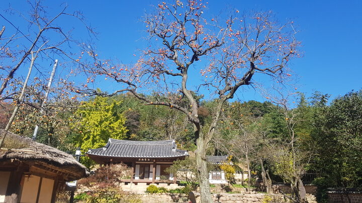 강진 백운동 원림
