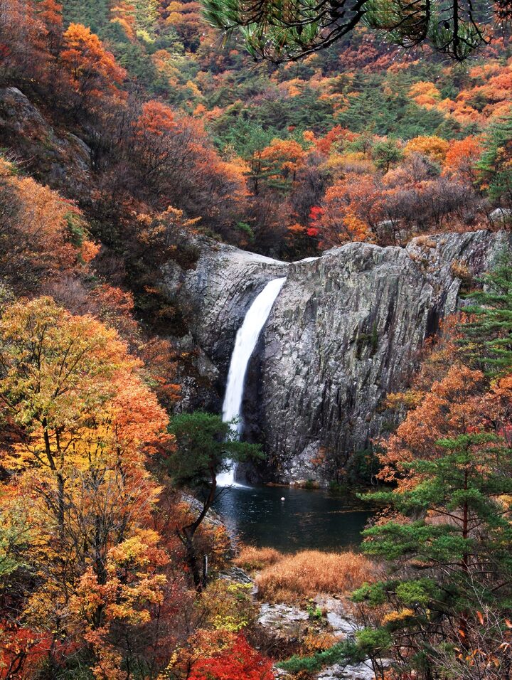 문화재청, 부안군