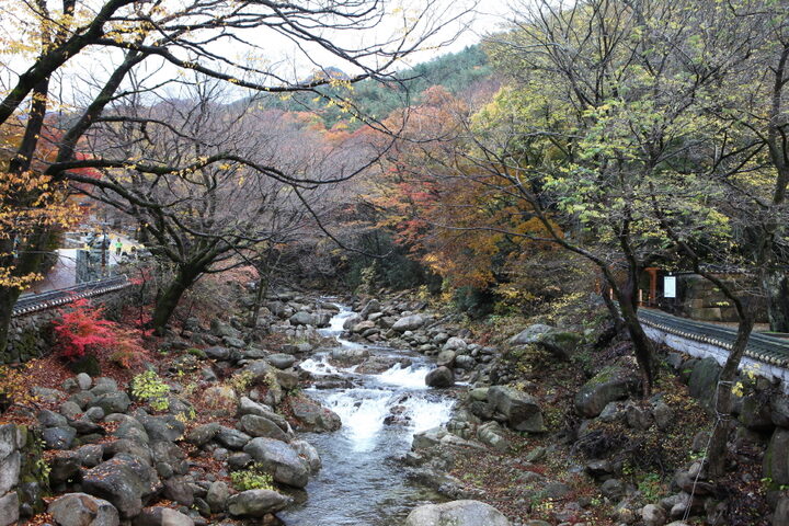지리산 화엄사 일원_계곡 (촬영년도 : 2015년)