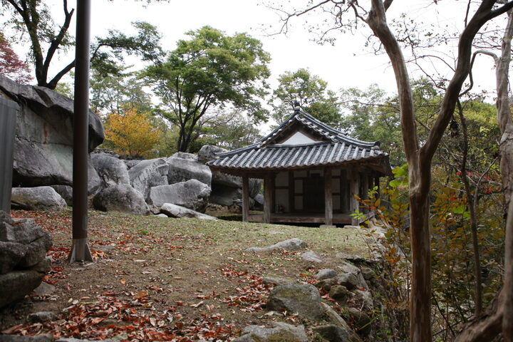 순천 초연정 원림_측면 전경 (촬영년도 : 2015년)
