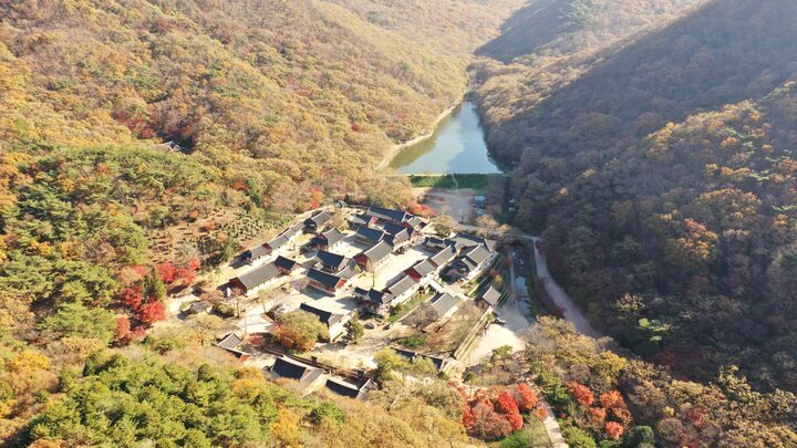 영광 불갑사 산지 일원 전경 등 관련 사진