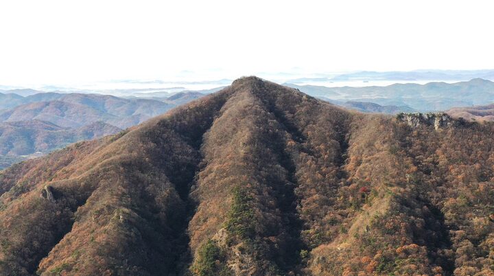 영광 불갑사 산지 일원 전경 등 관련 사진