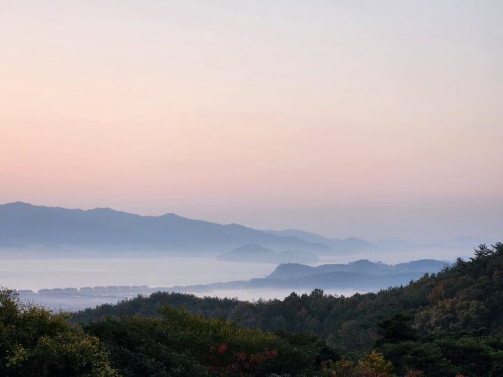 강진군