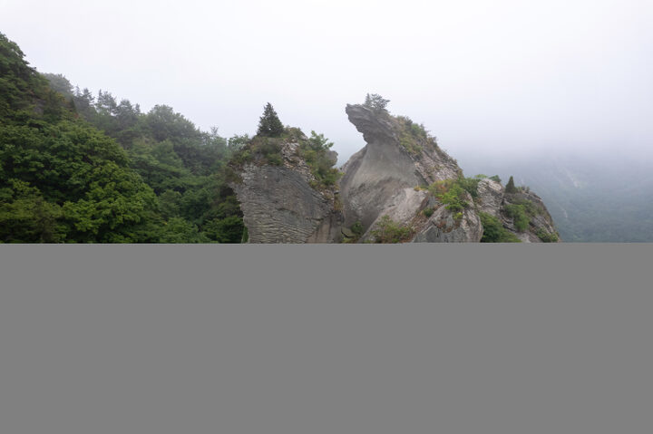 보성군