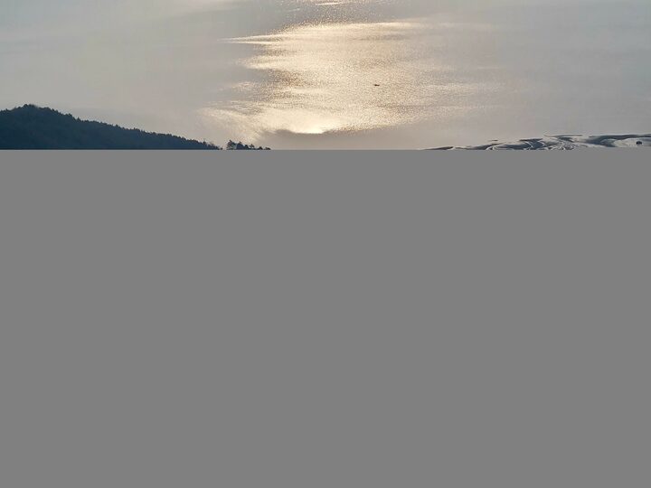 보성군