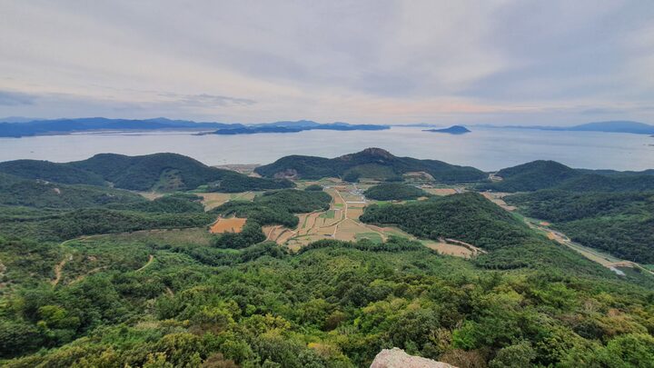보성군