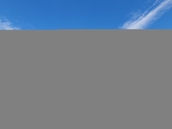 보성군