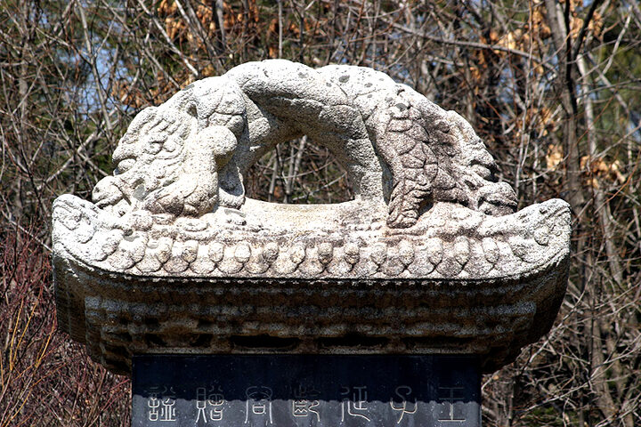 연령군신도비이수
