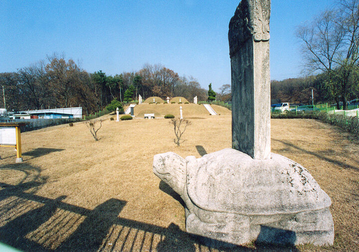 양효안공신도비부묘소원경