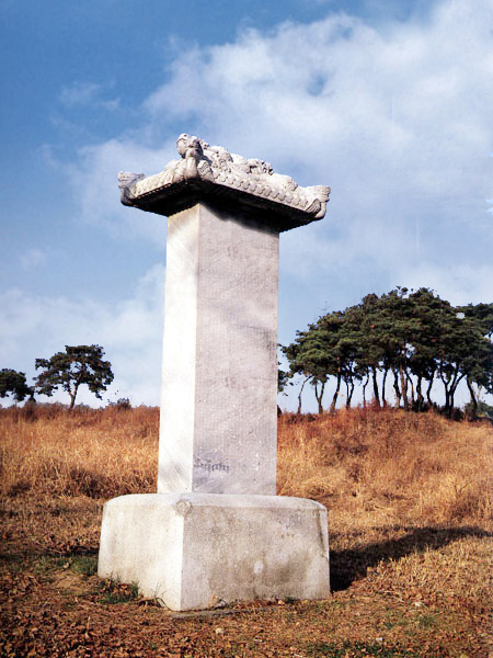 충헌김공신도비