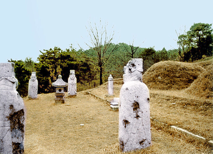 광주이씨광릉부원군파묘역