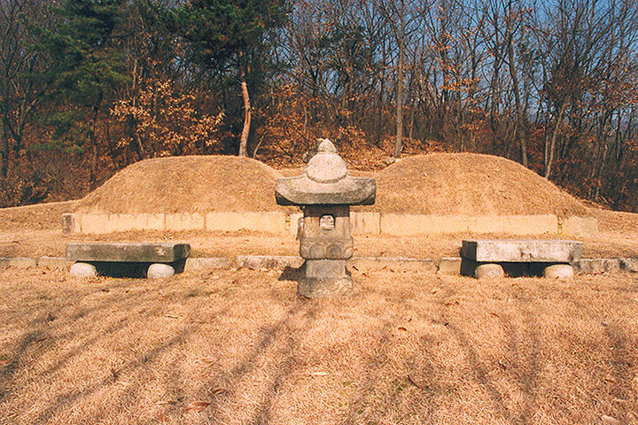 이인묘역