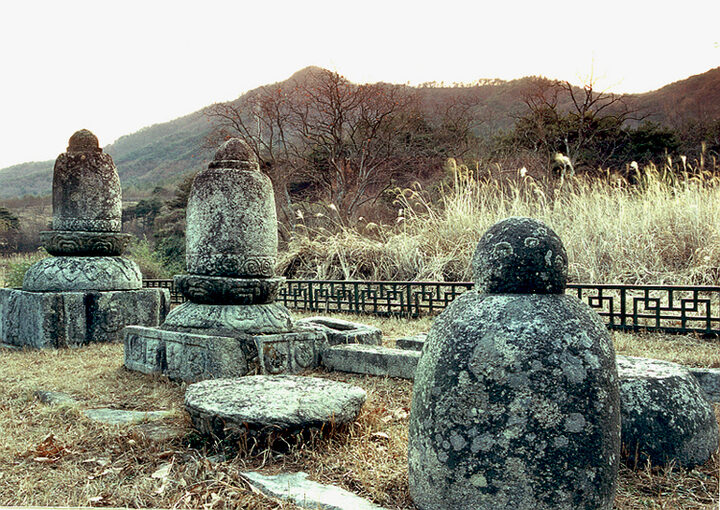 청송사지부도(전경)