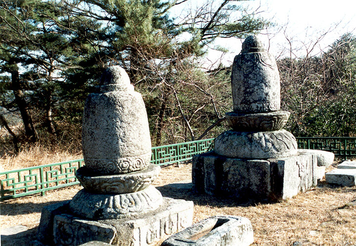 청송사지부도(근경)
