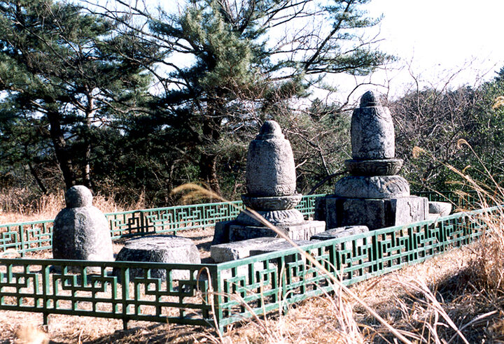청송사지부도(전경)