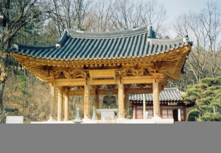 포초골미륵좌불(미륵전중건후)