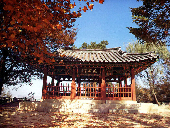 화석정