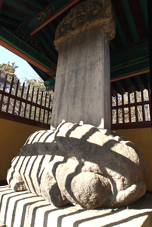 심강신도비
