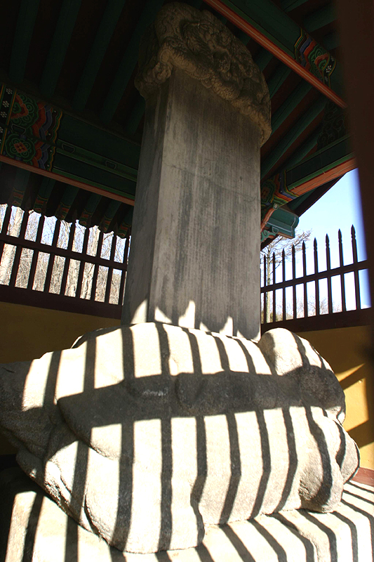 심강신도비