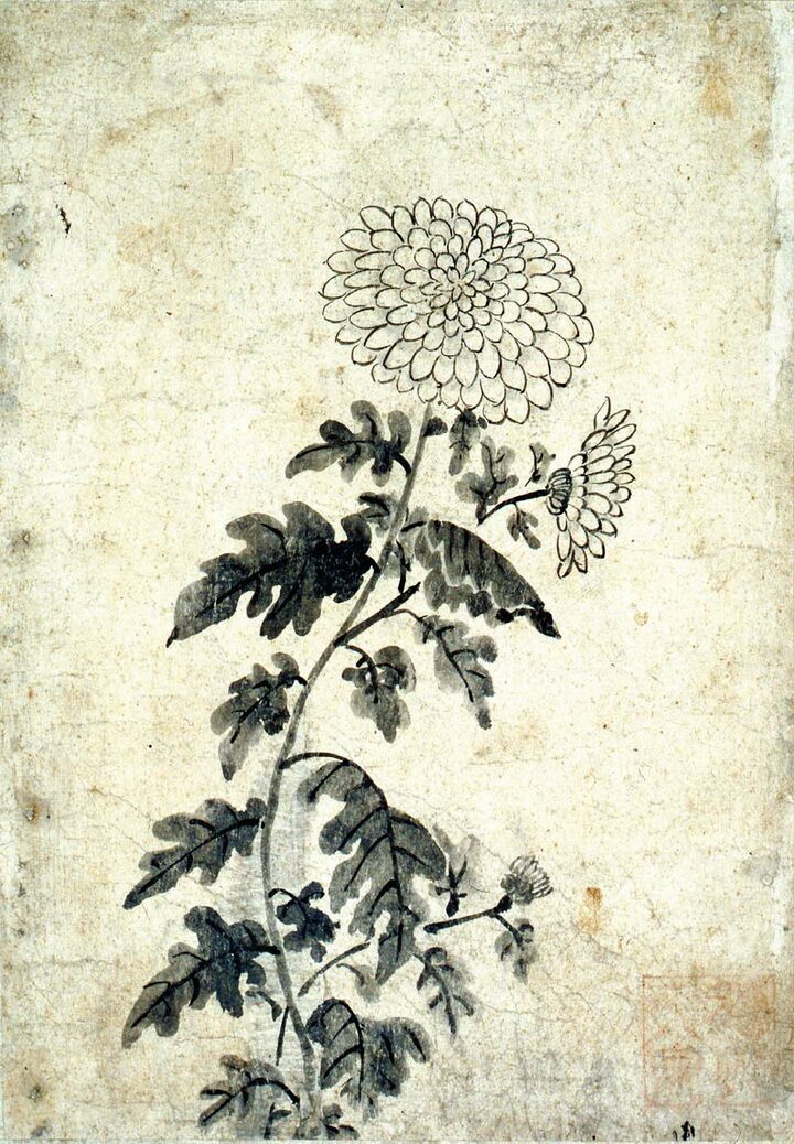옥산 국화도첩