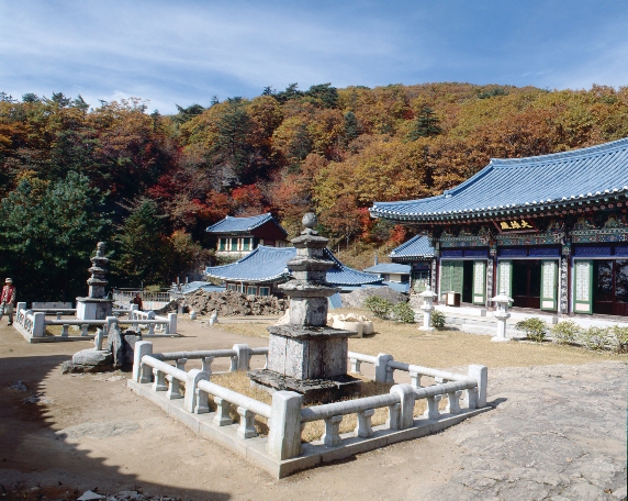 석탑 및 광배