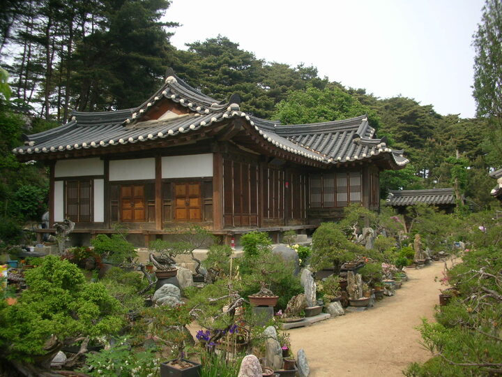 강릉 방해정
