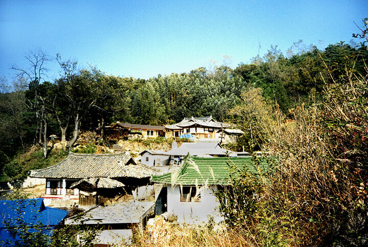 김종우가옥(원경)