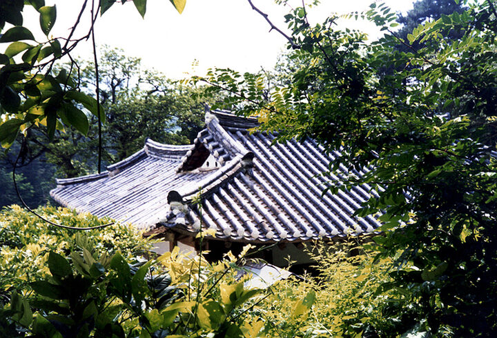 김종우가옥(배면)