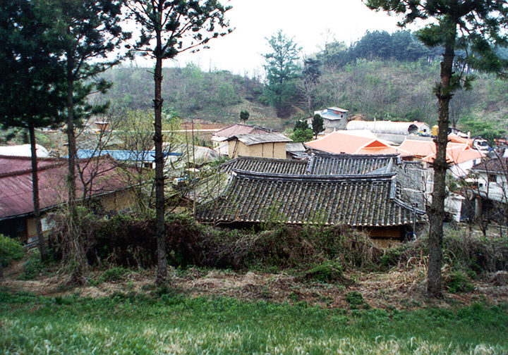 김두한가옥(전경)