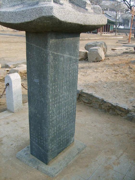 근경(측면)