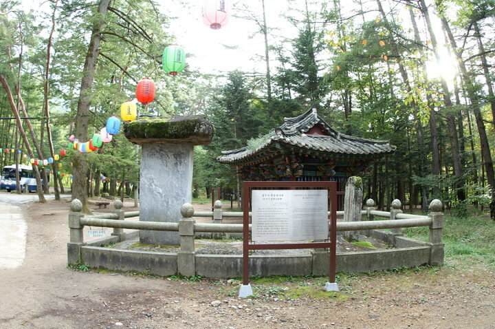 보은 법주사 벽암대사비 전경