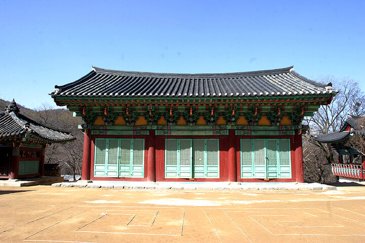 후면