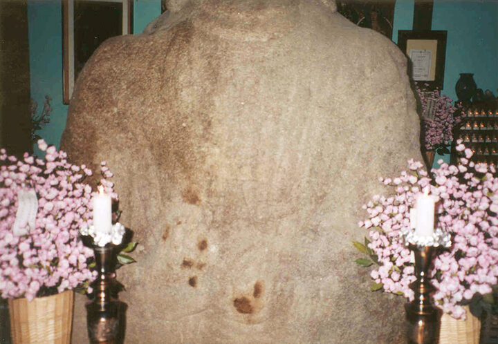 몸통부분