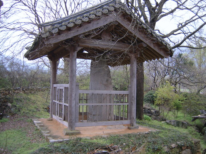 석불입상 원경