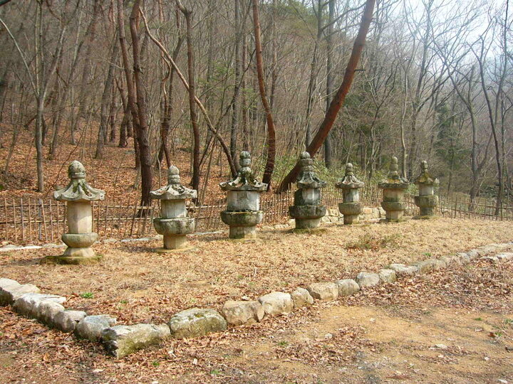 용흥사부도군