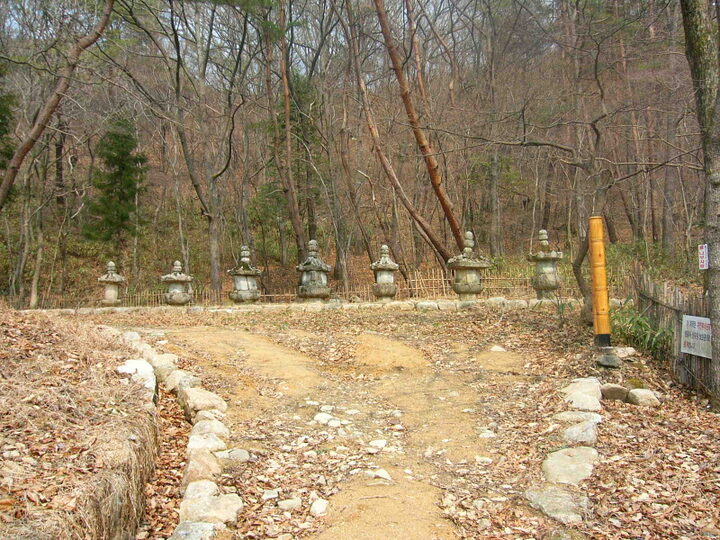 용흥사부도군