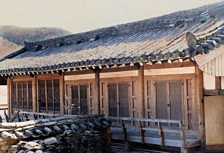 배면
