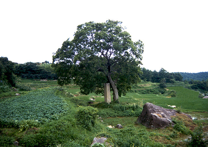법수사지당간지주(하절기)