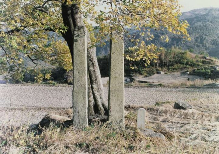 법수사지당간지주(동절기)