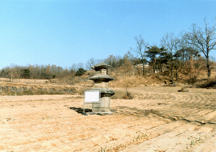 안동하리동삼층석탑(전경)