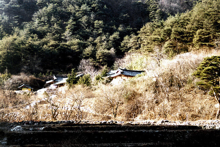 장육사(전경)