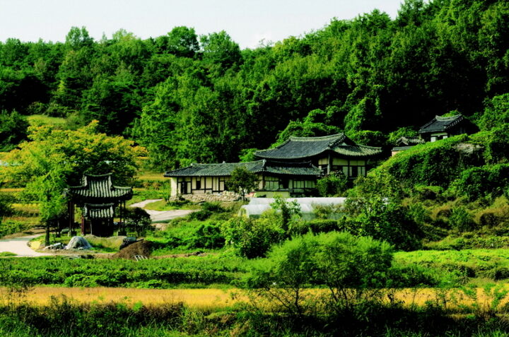 대지재사(전경)