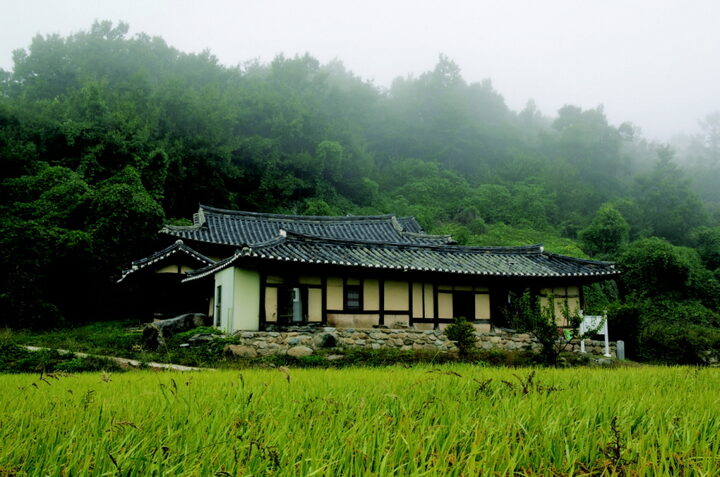 대지재사