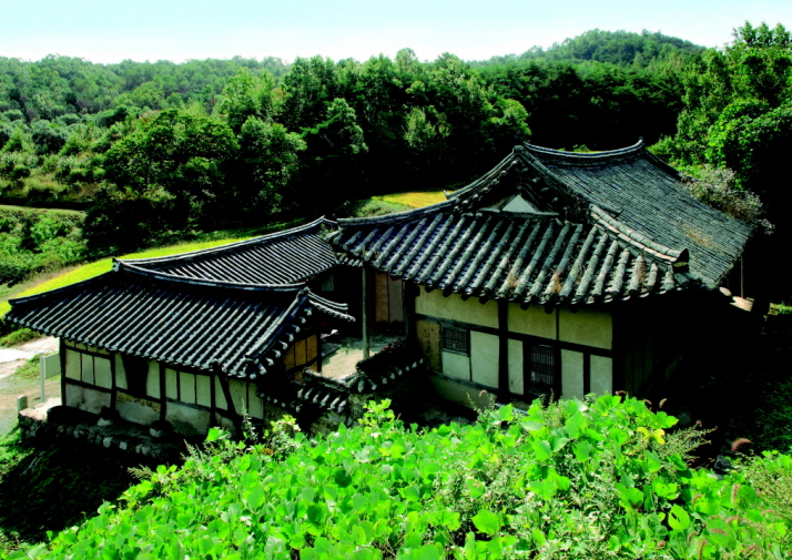 대지재사 1