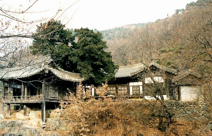 모고헌