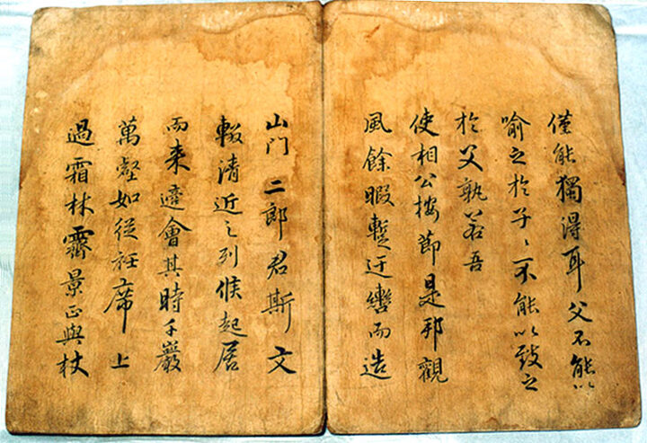 유금강산권