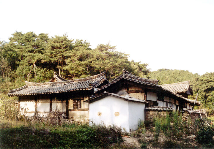 좌측면
