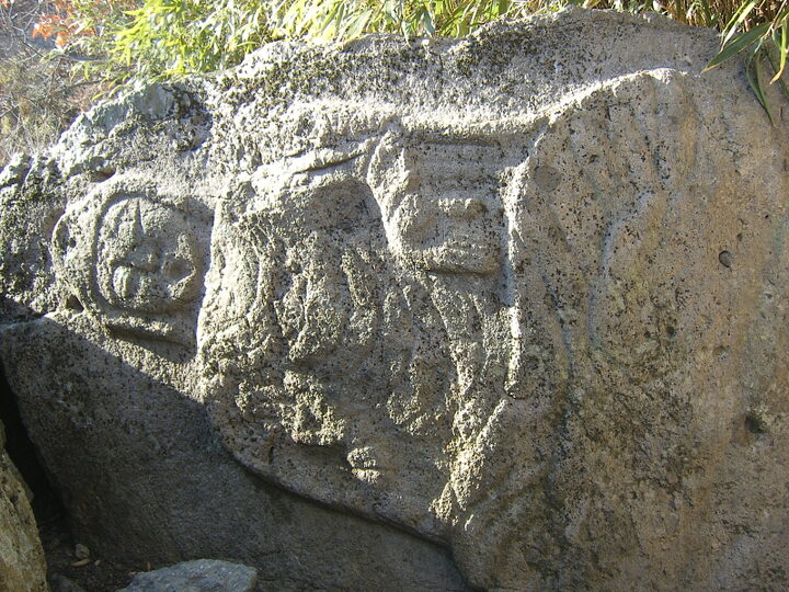 근경